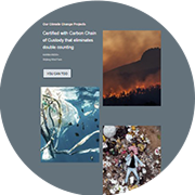 Auto generate reports- Colour