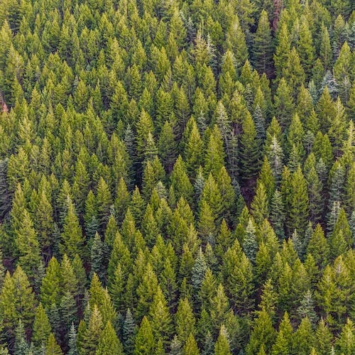 9e3837f2-2e3a-4592-94ca-a2c2d3c50bc1