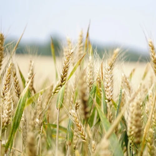 bb74c11e-2a54-4707-a78b-c2130e6b67b3